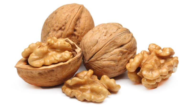 nueces